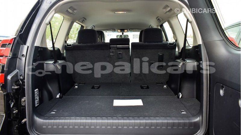 Big with watermark b9c5ede3 23f2 4f56 b22e e08d94d11ba6