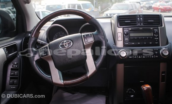 Buy Import Toyota Prado White Car in Import - Dubai in Bagmati Buy Import Toyota Prado White Car in Import - Dubai in Bagmati