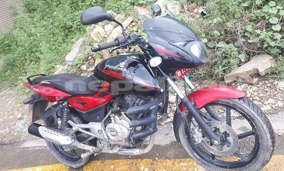 Buy Used Bajaj PULSAR Red Bike in Kathmandu in Bagmati Buy Used Bajaj PULSAR Red Bike in Kathmandu in Bagmati