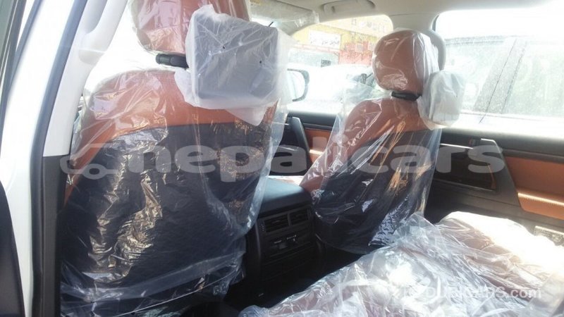 Big with watermark ea033b56 0c28 43dd b37b d2a053b1e752