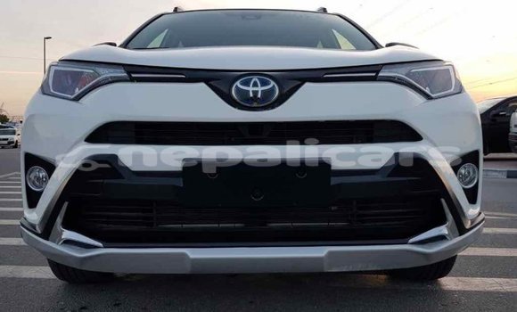 Buy Import Toyota RAV4 White Car in Import - Dubai in Bagmati Buy Import Toyota RAV4 White Car in Import - Dubai in Bagmati