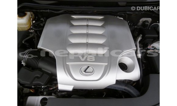 Buy Import Lexus LX White Car in Import - Dubai in Bagmati Buy Import Lexus LX White Car in Import - Dubai in Bagmati