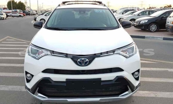 Buy Import Toyota RAV4 White Car in Import - Dubai in Bagmati Buy Import Toyota RAV4 White Car in Import - Dubai in Bagmati