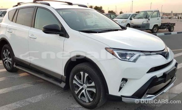 Buy Import Toyota RAV4 White Car in Import - Dubai in Bagmati Buy Import Toyota RAV4 White Car in Import - Dubai in Bagmati