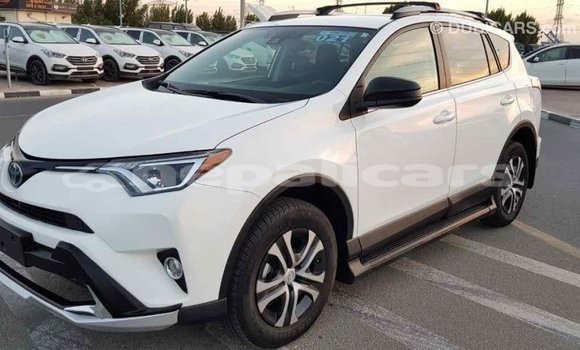 Buy Import Toyota RAV4 White Car in Import - Dubai in Bagmati Buy Import Toyota RAV4 White Car in Import - Dubai in Bagmati