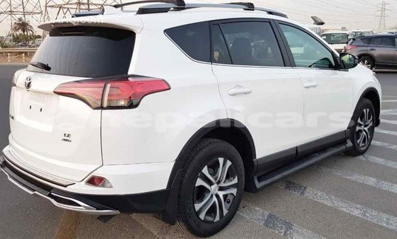 Buy Import Toyota RAV4 White Car in Import - Dubai in Bagmati Buy Import Toyota RAV4 White Car in Import - Dubai in Bagmati