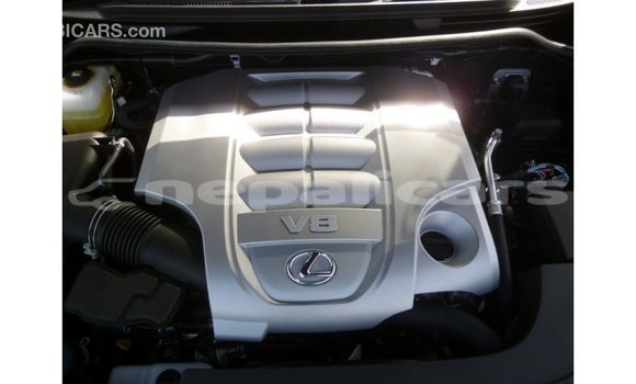 Buy Import Lexus LX Black Car in Import - Dubai in Bagmati Buy Import Lexus LX Black Car in Import - Dubai in Bagmati