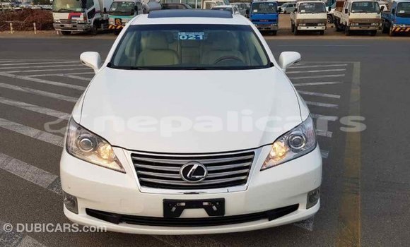 Buy Import Lexus ES White Car in Import - Dubai in Bagmati Buy Import Lexus ES White Car in Import - Dubai in Bagmati