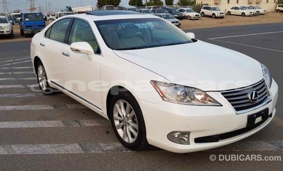 Buy Import Lexus ES White Car in Import - Dubai in Bagmati Buy Import Lexus ES White Car in Import - Dubai in Bagmati