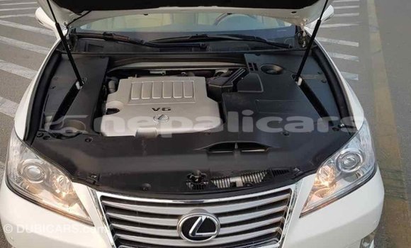 Buy Import Lexus ES White Car in Import - Dubai in Bagmati