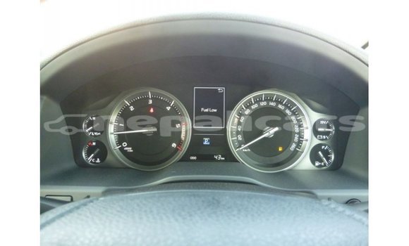 Buy Import Toyota Land Cruiser Black Car in Import - Dubai in Bagmati Buy Import Toyota Land Cruiser Black Car in Import - Dubai in Bagmati