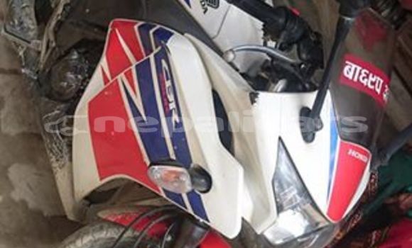 Buy Used Honda CBR Red Bike in Pokhara in Gandaki Buy Used Honda CBR Red Bike in Pokhara in Gandaki