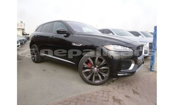 Buy Import Jaguar F-Pace Black Car in Import - Dubai in Bagmati Buy Import Jaguar F-Pace Black Car in Import - Dubai in Bagmati