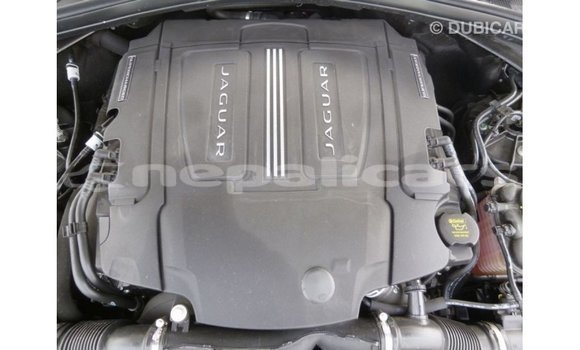 Buy Import Jaguar F-Pace Black Car in Import - Dubai in Bagmati Buy Import Jaguar F-Pace Black Car in Import - Dubai in Bagmati