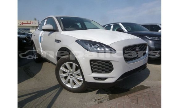 Buy Import Jaguar E-Pace White Car in Import - Dubai in Bagmati Buy Import Jaguar E-Pace White Car in Import - Dubai in Bagmati