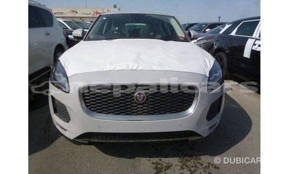 Buy Import Jaguar E-Pace White Car in Import - Dubai in Bagmati Buy Import Jaguar E-Pace White Car in Import - Dubai in Bagmati