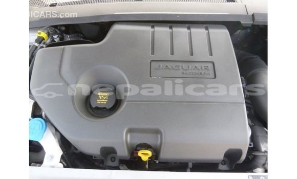 Buy Import Jaguar E-Pace White Car in Import - Dubai in Bagmati Buy Import Jaguar E-Pace White Car in Import - Dubai in Bagmati