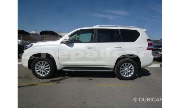 Buy Import Toyota Prado White Car in Import - Dubai in Bagmati Buy Import Toyota Prado White Car in Import - Dubai in Bagmati