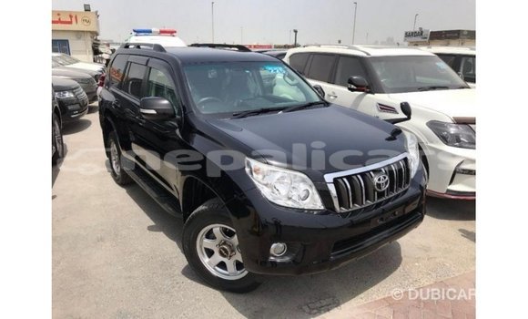 Buy Import Toyota Prado Black Car in Import - Dubai in Bagmati Buy Import Toyota Prado Black Car in Import - Dubai in Bagmati