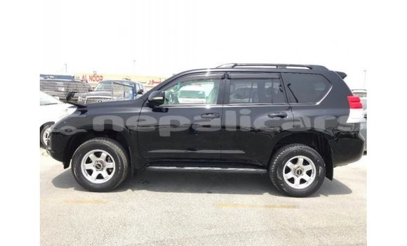 Buy Import Toyota Prado Black Car in Import - Dubai in Bagmati Buy Import Toyota Prado Black Car in Import - Dubai in Bagmati
