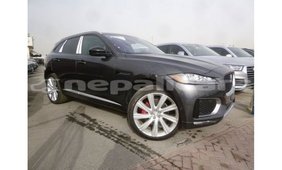 Buy Import Jaguar F-Type Black Car in Import - Dubai in Bagmati Buy Import Jaguar F-Type Black Car in Import - Dubai in Bagmati