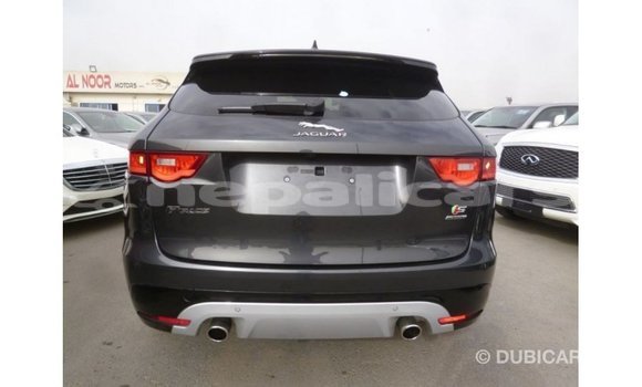 Buy Import Jaguar F-Type Black Car in Import - Dubai in Bagmati Buy Import Jaguar F-Type Black Car in Import - Dubai in Bagmati
