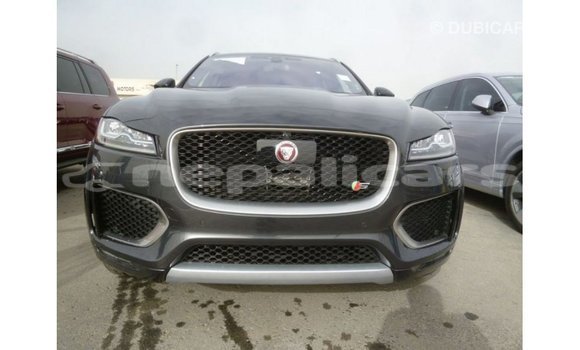 Buy Import Jaguar F-Type Black Car in Import - Dubai in Bagmati Buy Import Jaguar F-Type Black Car in Import - Dubai in Bagmati