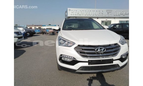Buy Import Hyundai Santa Fe White Car in Import - Dubai in Bagmati Buy Import Hyundai Santa Fe White Car in Import - Dubai in Bagmati
