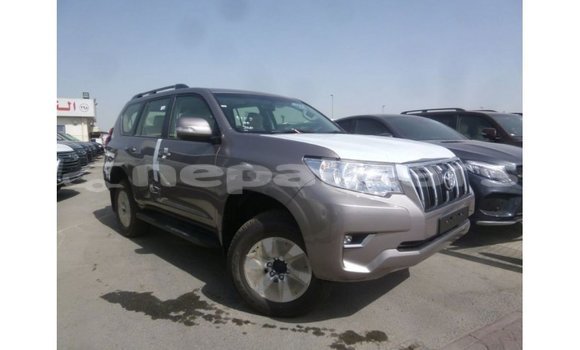 Buy Import Toyota Prado Other Car in Import - Dubai in Bagmati Buy Import Toyota Prado Other Car in Import - Dubai in Bagmati