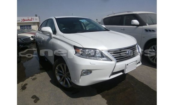 Buy Import Lexus RX White Car in Import - Dubai in Bagmati Buy Import Lexus RX White Car in Import - Dubai in Bagmati