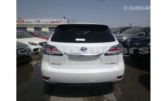 Buy Import Lexus RX White Car in Import - Dubai in Bagmati Buy Import Lexus RX White Car in Import - Dubai in Bagmati
