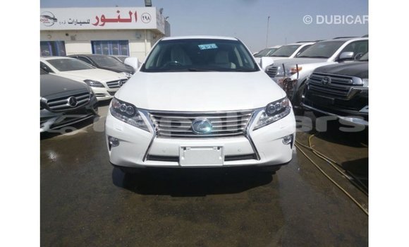 Buy Import Lexus RX White Car in Import - Dubai in Bagmati Buy Import Lexus RX White Car in Import - Dubai in Bagmati