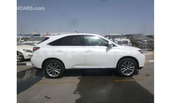 Buy Import Lexus RX White Car in Import - Dubai in Bagmati Buy Import Lexus RX White Car in Import - Dubai in Bagmati