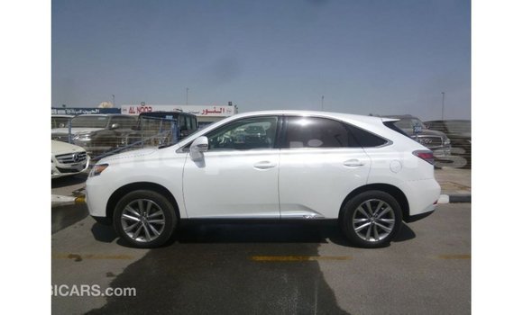 Buy Import Lexus RX White Car in Import - Dubai in Bagmati Buy Import Lexus RX White Car in Import - Dubai in Bagmati