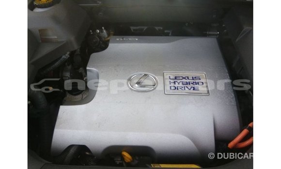 Buy Import Lexus RX White Car in Import - Dubai in Bagmati Buy Import Lexus RX White Car in Import - Dubai in Bagmati