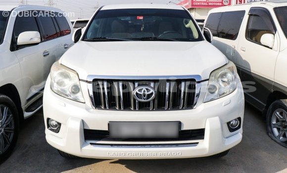 Buy Import Toyota Prado White Car in Import - Dubai in Bagmati Buy Import Toyota Prado White Car in Import - Dubai in Bagmati