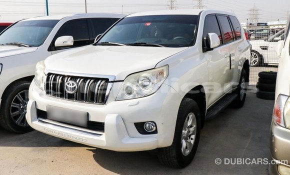 Buy Import Toyota Prado White Car in Import - Dubai in Bagmati Buy Import Toyota Prado White Car in Import - Dubai in Bagmati