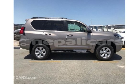 Buy Import Toyota Prado Brown Car in Import - Dubai in Bagmati Buy Import Toyota Prado Brown Car in Import - Dubai in Bagmati