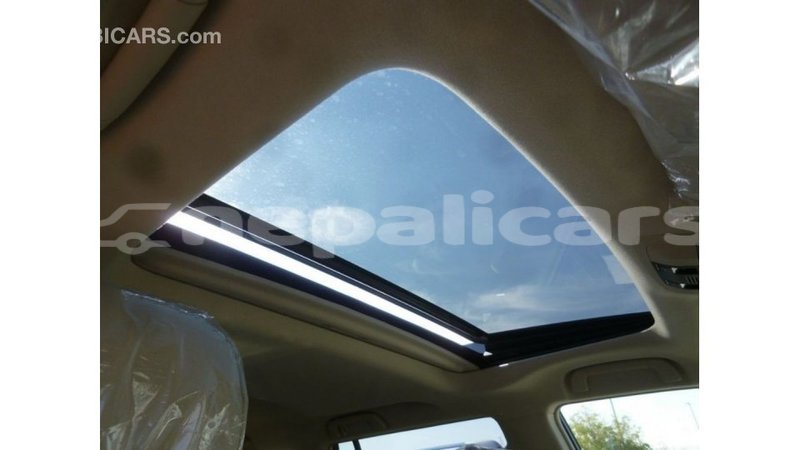 Big with watermark d722d2ce 6716 45e7 adee fb5c743d722c