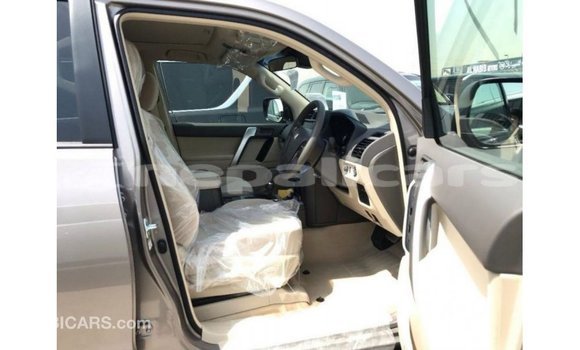 Buy Import Toyota Prado Brown Car in Import - Dubai in Bagmati Buy Import Toyota Prado Brown Car in Import - Dubai in Bagmati