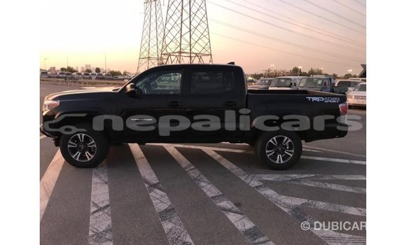 Buy Import Toyota Tacoma Black Car in Import - Dubai in Bagmati Buy Import Toyota Tacoma Black Car in Import - Dubai in Bagmati