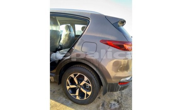 Buy Import Kia Sportage Brown Car in Import - Dubai in Bagmati Buy Import Kia Sportage Brown Car in Import - Dubai in Bagmati