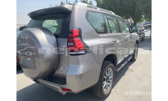Buy Import Toyota Prado Brown Car in Import - Dubai in Bagmati Buy Import Toyota Prado Brown Car in Import - Dubai in Bagmati