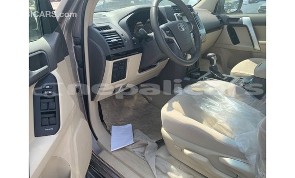 Buy Import Toyota Prado Brown Car in Import - Dubai in Bagmati Buy Import Toyota Prado Brown Car in Import - Dubai in Bagmati