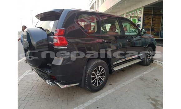 Buy Import Toyota Prado Black Car in Import - Dubai in Bagmati Buy Import Toyota Prado Black Car in Import - Dubai in Bagmati