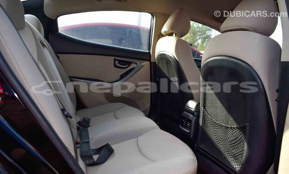 Buy Import Hyundai Elantra Black Car in Import - Dubai in Bagmati Buy Import Hyundai Elantra Black Car in Import - Dubai in Bagmati