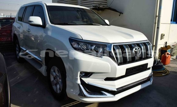 Buy Import Toyota Prado White Car in Import - Dubai in Bagmati Buy Import Toyota Prado White Car in Import - Dubai in Bagmati
