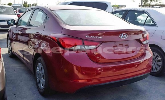 Buy Import Hyundai Elantra Red Car in Import - Dubai in Bagmati Buy Import Hyundai Elantra Red Car in Import - Dubai in Bagmati