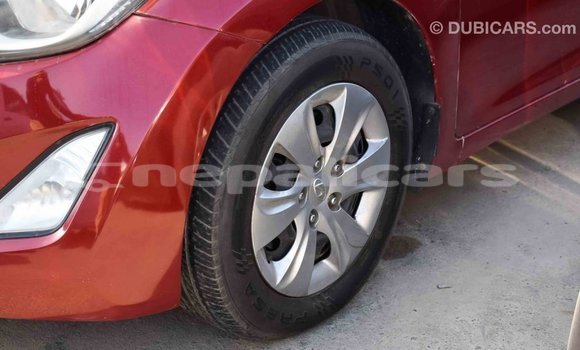 Buy Import Hyundai Elantra Red Car in Import - Dubai in Bagmati Buy Import Hyundai Elantra Red Car in Import - Dubai in Bagmati