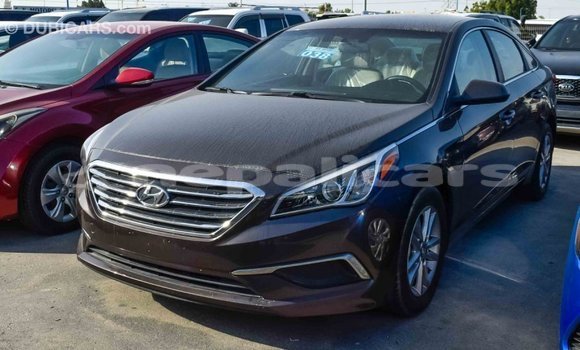 Buy Import Hyundai Sonata Brown Car in Import - Dubai in Bagmati Buy Import Hyundai Sonata Brown Car in Import - Dubai in Bagmati
